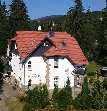Heine Apartment-Friedegerns Fewo Schierke Eksteriør billede