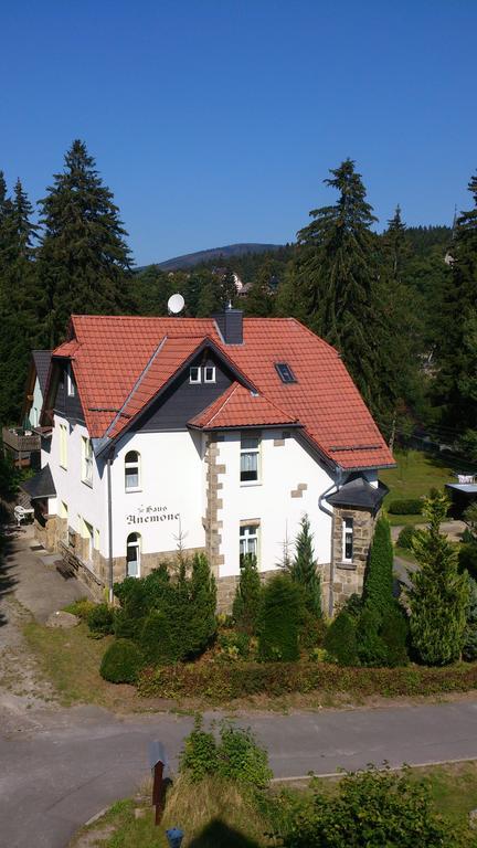 Heine Apartment-Friedegerns Fewo Schierke Eksteriør billede